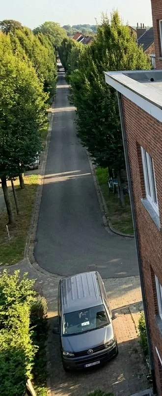 Avenue bordée d'arbres à Woluwe-Saint-Pierre vue depuis un toit plat en chantier de Parc Roofing